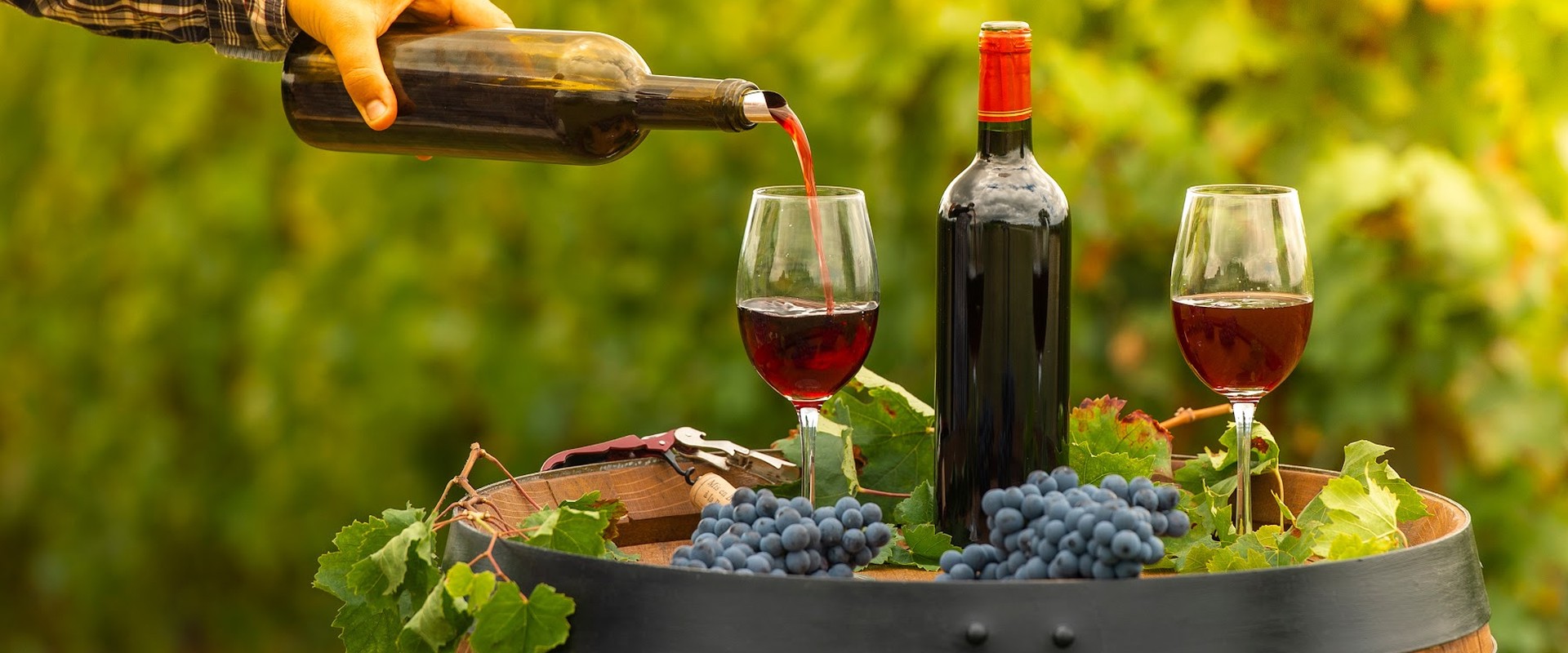 Cheers! The Best Villas on Luxury Wine Estates