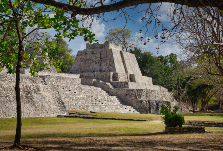 ILTM Americas