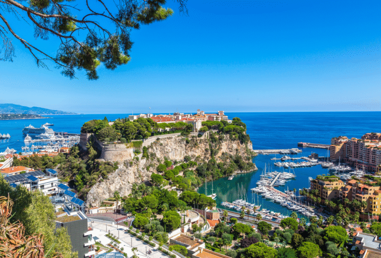 Monte Carlo Gala for Planetary Health