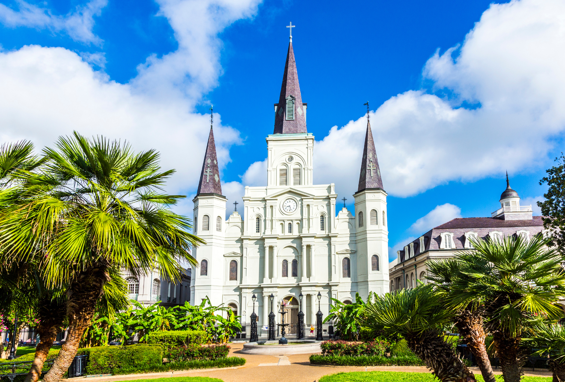 Set New Orleans
